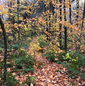 Meet your Posher, Cathleen